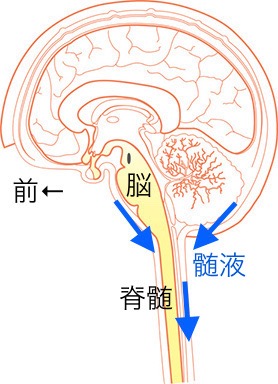 立っている状態