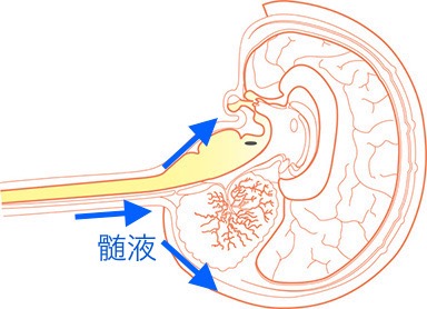 横になった状態