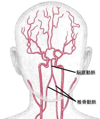 脳動脈